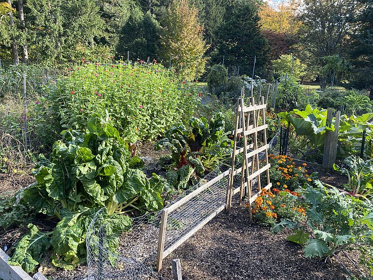 Greenbelt Community Garden