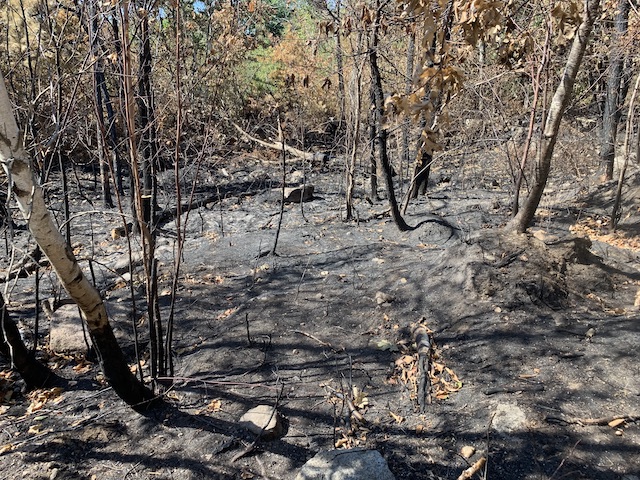 Woodland Acres Fires