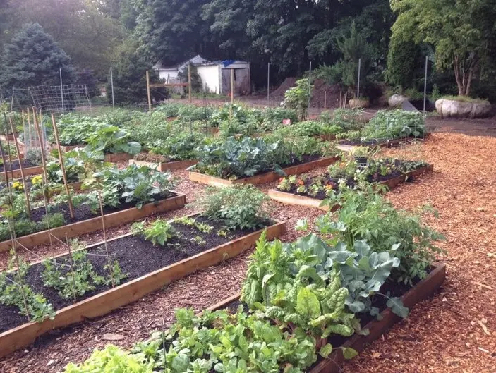 Dodge Farm Community Garden