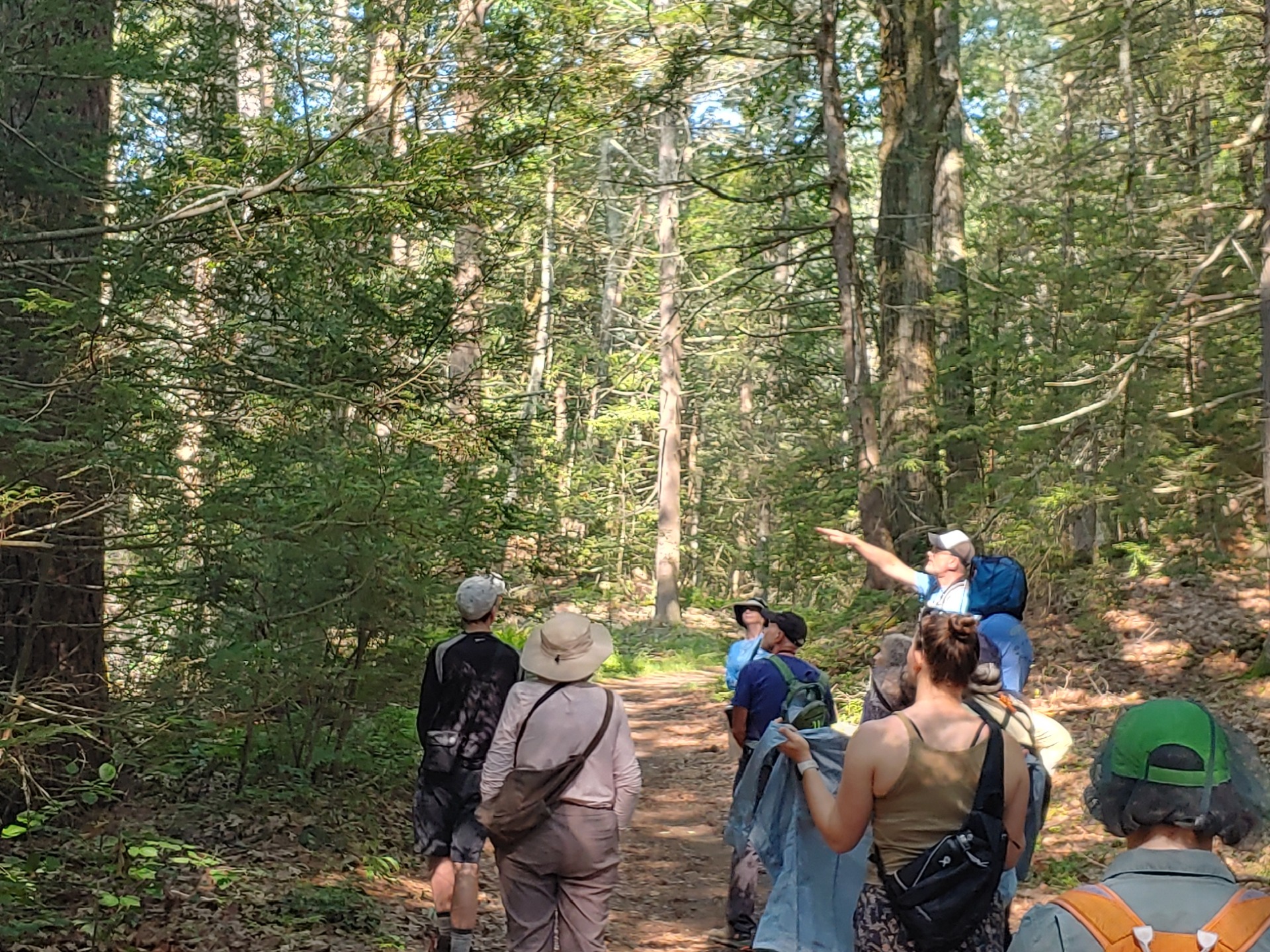 Thursday Morning Birding Club @ Alt Reservation