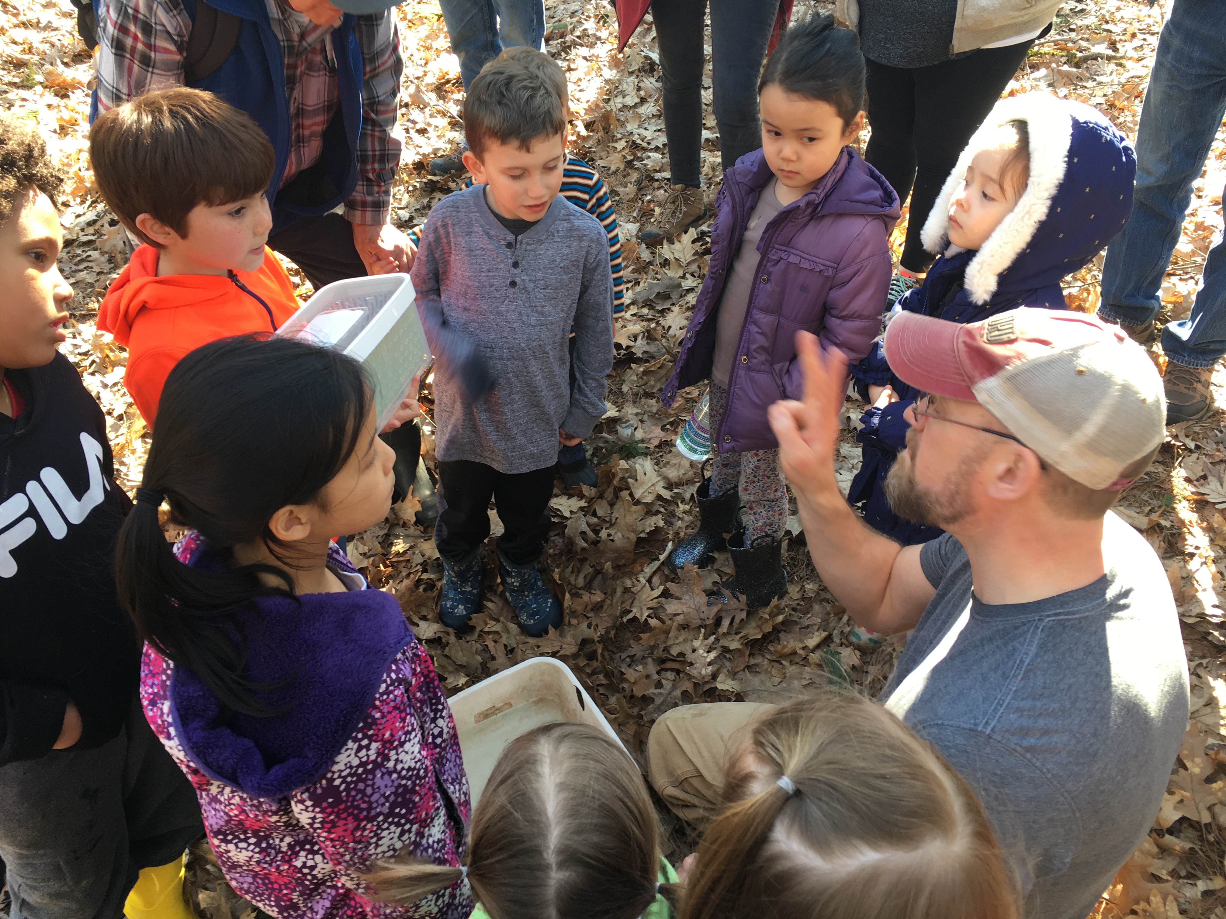 Family Nature Series - Vernal Pools