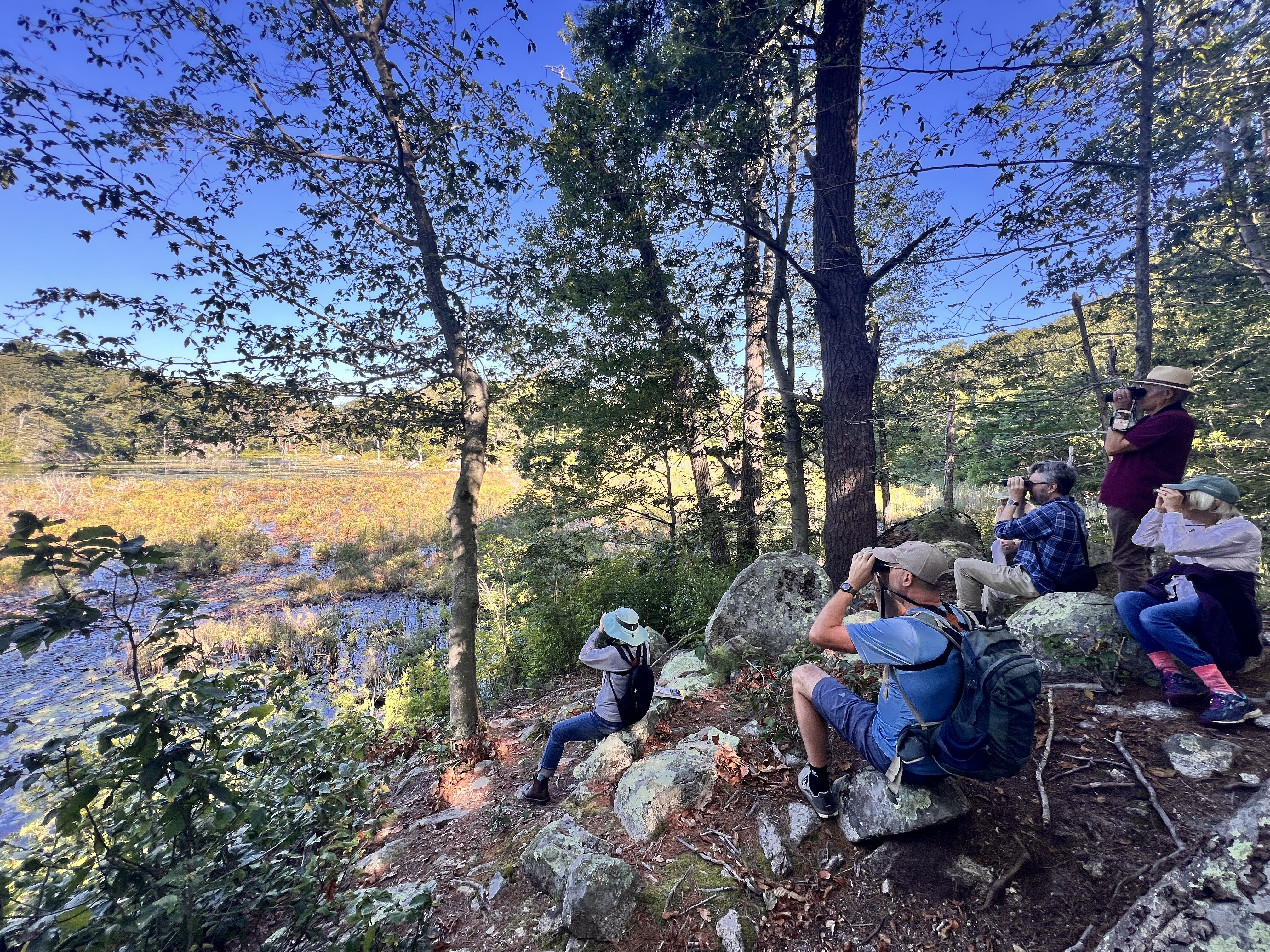 Thursday Morning Birding Club @ Baypoint Riverfront, Haverhill