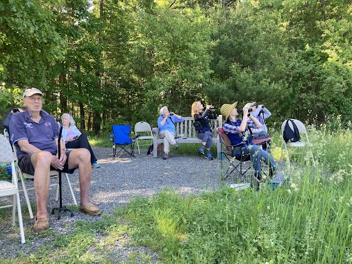 Seated Birding @ Arthur Ewell Reservation