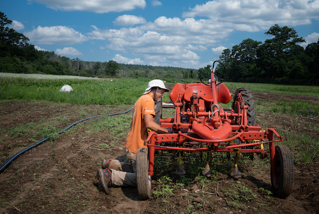 Farm Tractor