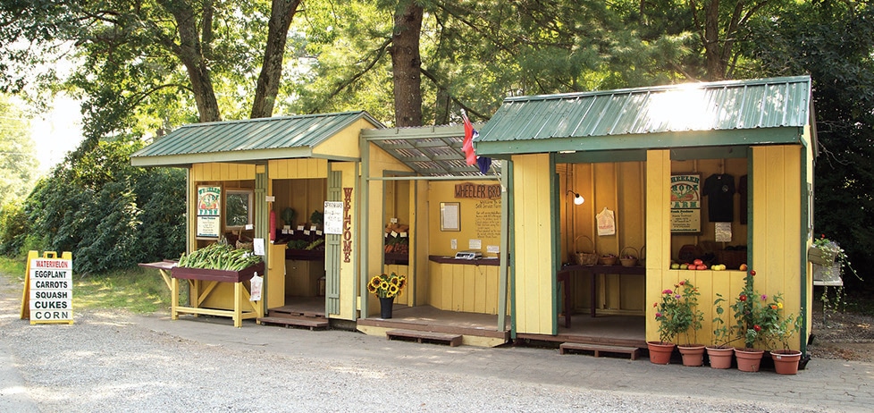 Wheeler Brook Farm