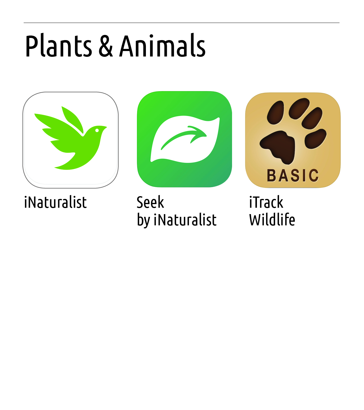 Greenbelt_Plant_AnimalApps.jpg