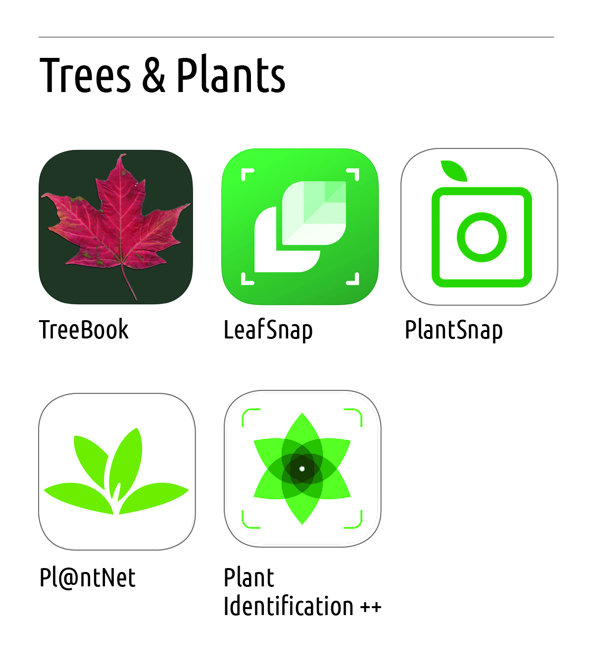 Greenbelt_Tree_PlantApps.jpg
